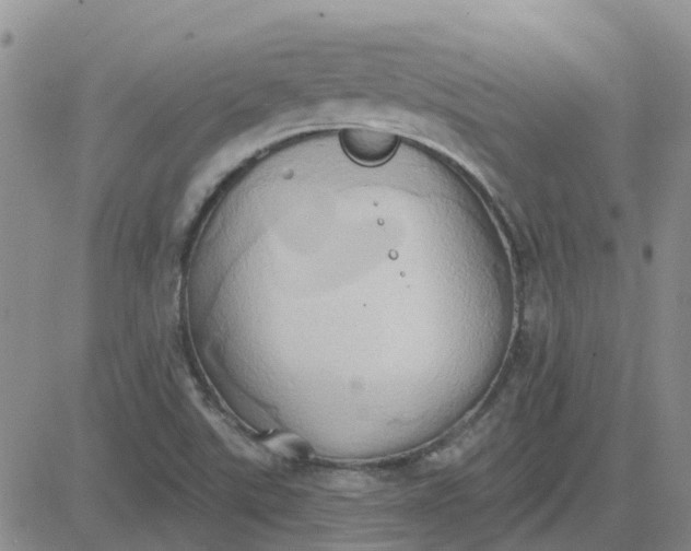 X0000081301507200701251705