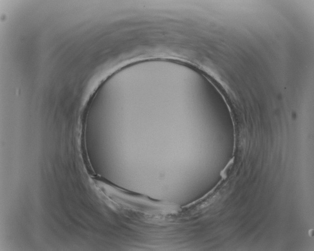 X0000081301508200701251705