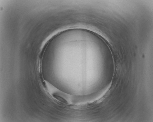 X0000081301510200701251705