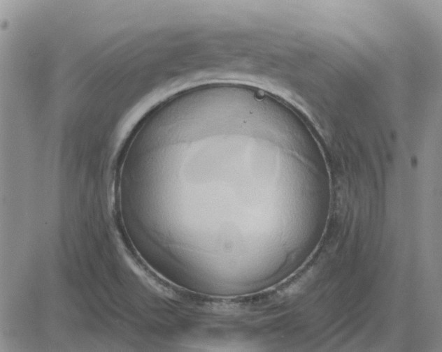 X0000081301511200701251705