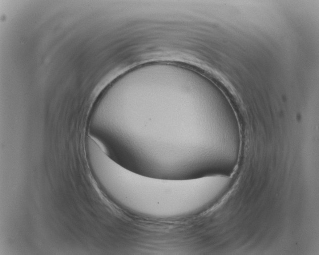 X0000081301513200701251705