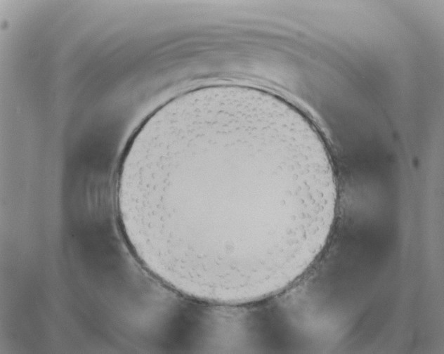 X0000081301514200701251705