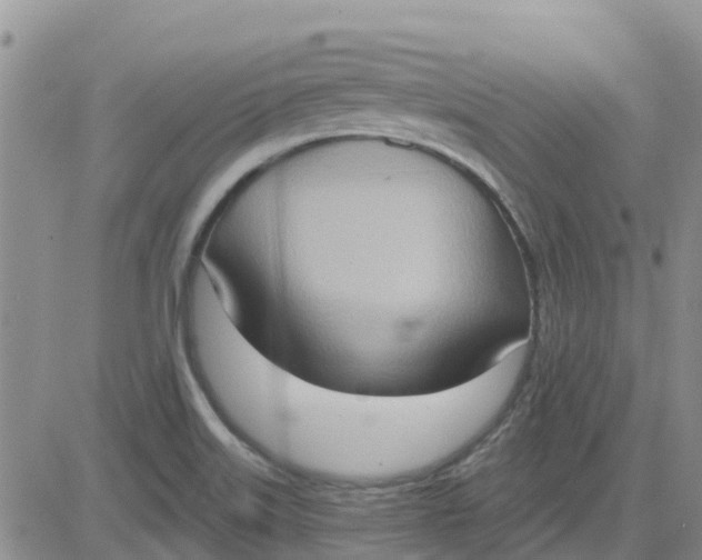 X0000081301515200701251705