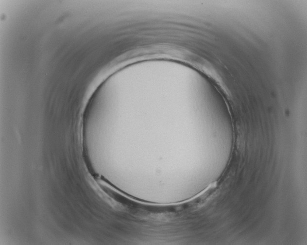 X0000081301516200701251705