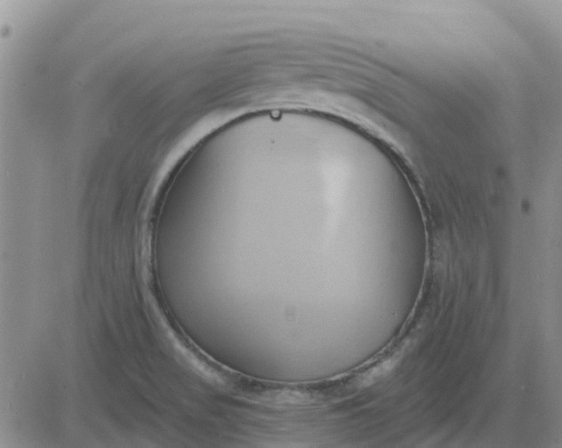 X0000081301517200701251705