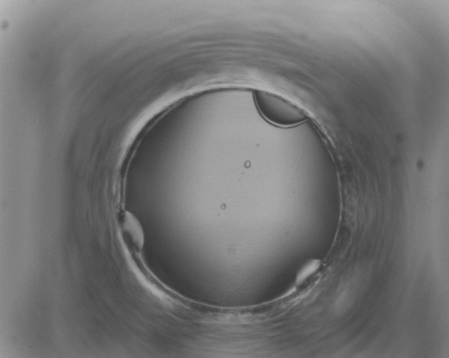 X0000081301519200701251705