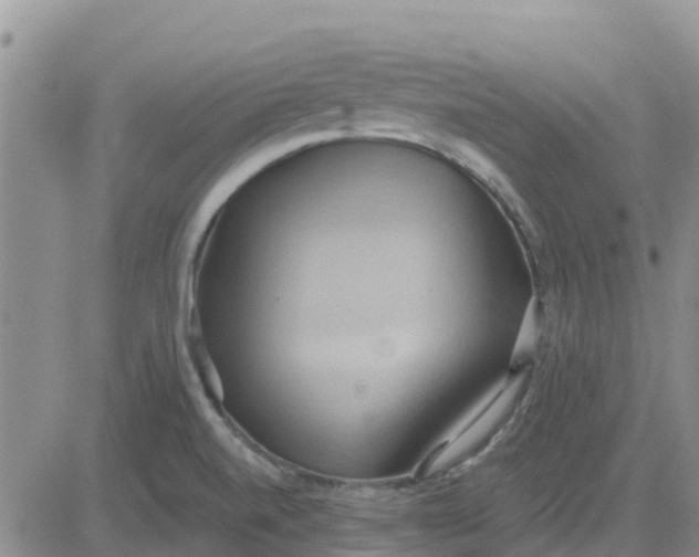 X0000081301520200701251705