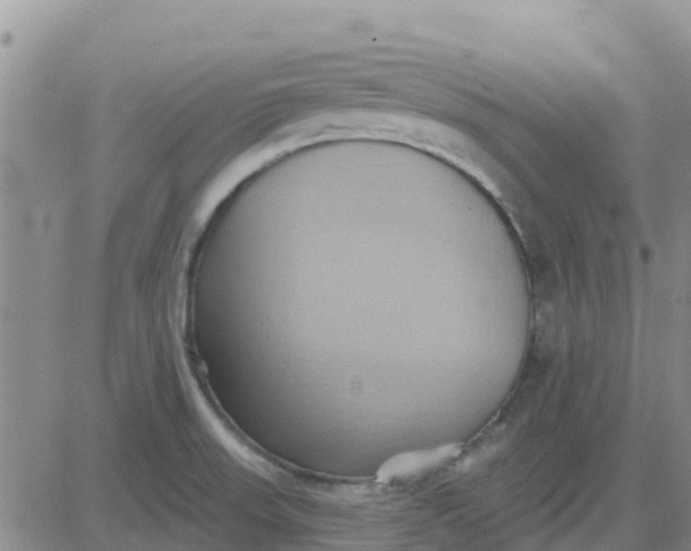 X0000081301523200701251705