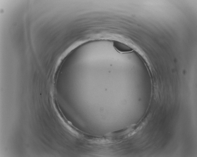 X0000081301525200701251705