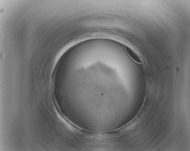 X0000081301527200701251705