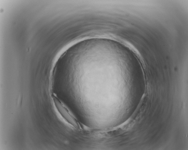 X0000081301528200701251705