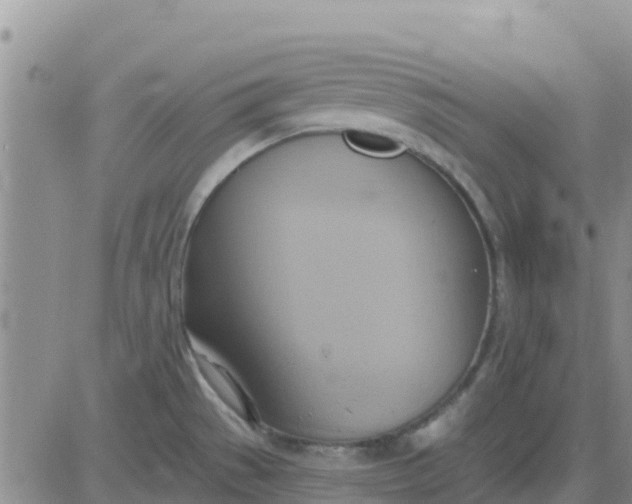 X0000081301529200701251705