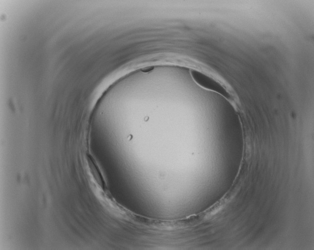 X0000081301530200701251705