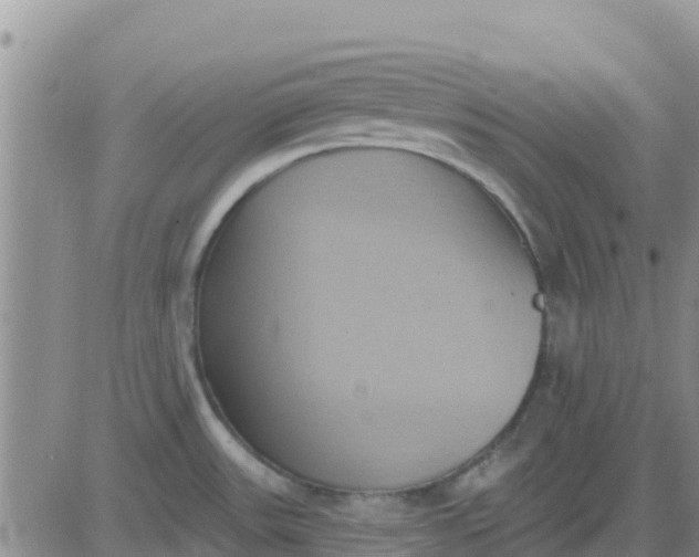 X0000081301531200701251705