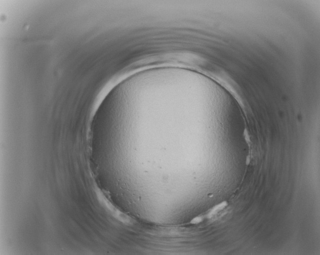 X0000081301532200701251705