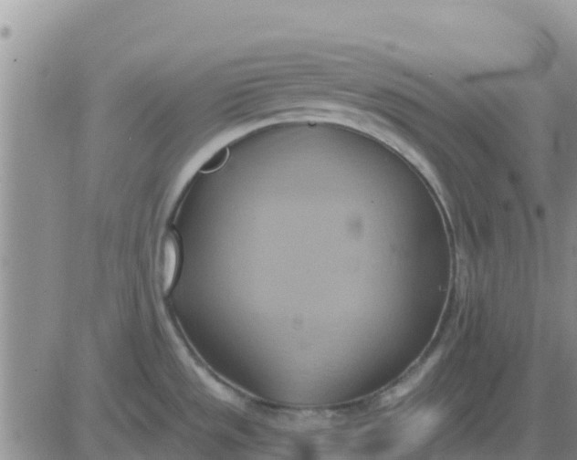 X0000081301533200701251705