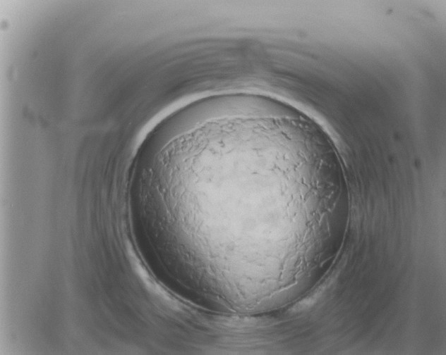 X0000081301534200701251705