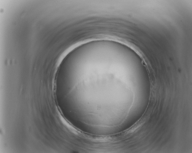 X0000081301535200701251705