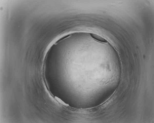 X0000081301536200701251705