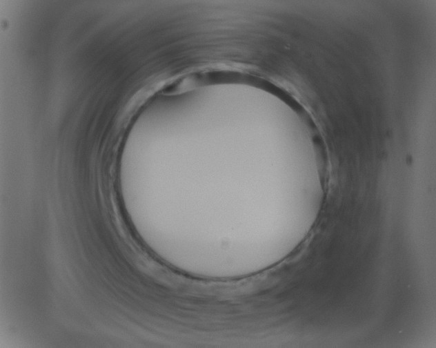 X0000081300001200702012321