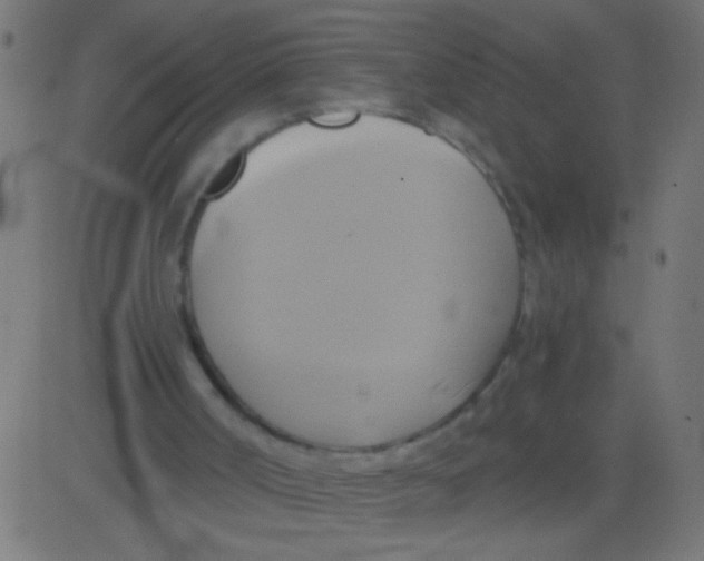 X0000081300002200702012321