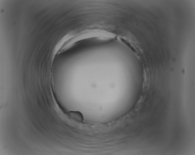 X0000081300003200702012321