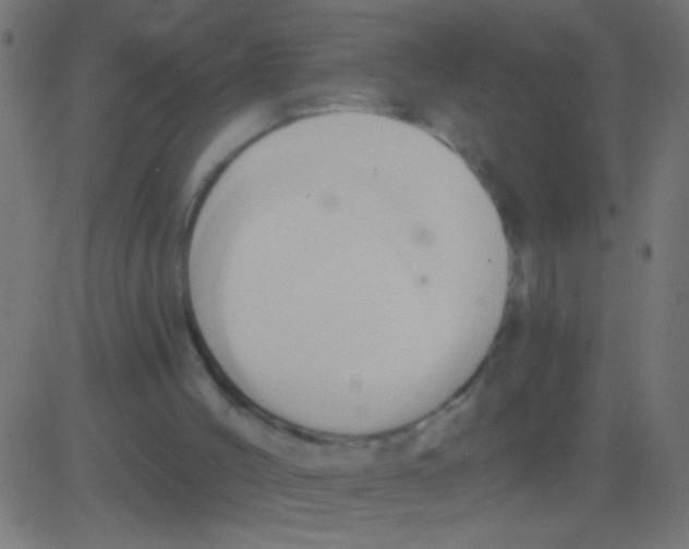 X0000081300004200702012321