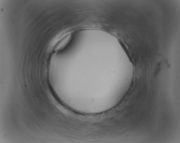 X0000081300005200702012321