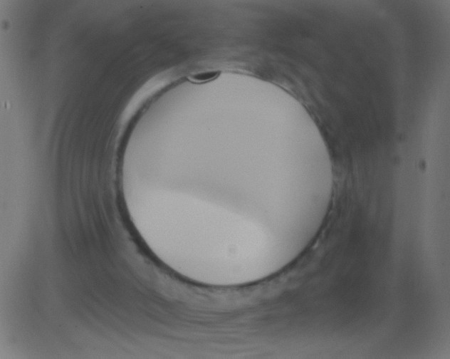 X0000081300006200702012321