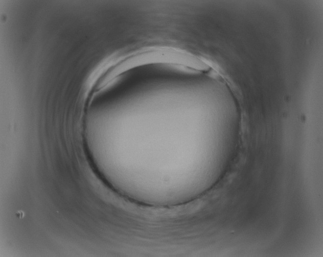 X0000081300007200702012321