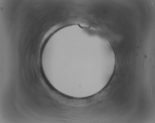 X0000081300008200702012321