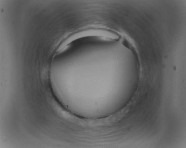 X0000081300009200702012321