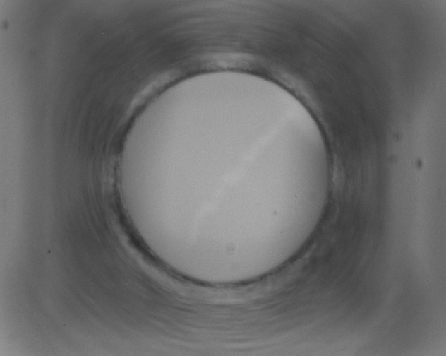 X0000081300010200702012321