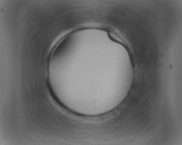 X0000081300011200702012321