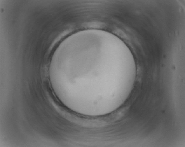 X0000081300012200702012321