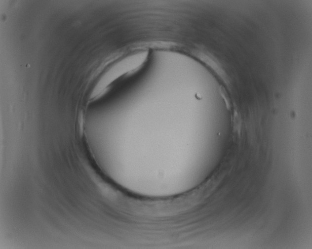 X0000081300013200702012321