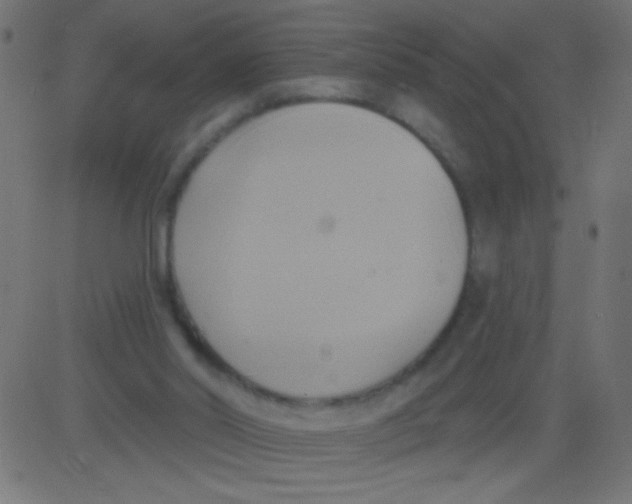 X0000081300014200702012321