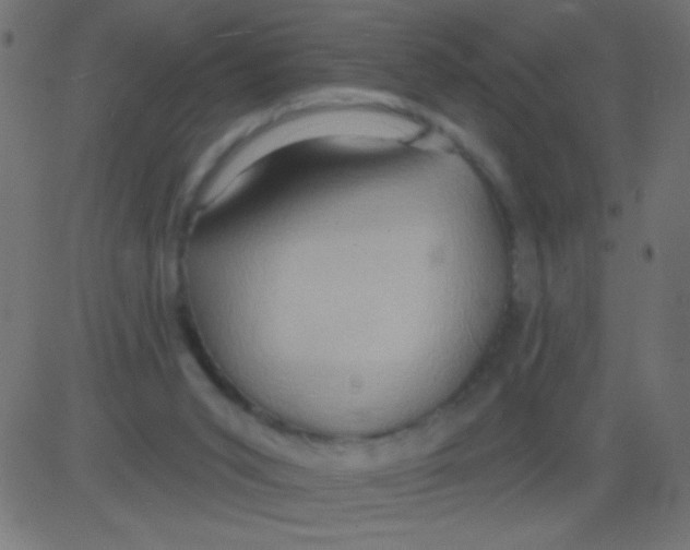 X0000081300015200702012321