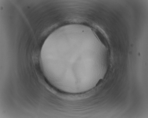 X0000081300017200702012321