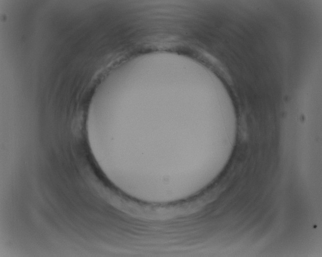 X0000081300018200702012321