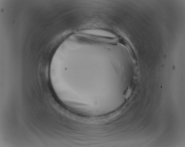 X0000081300019200702012321