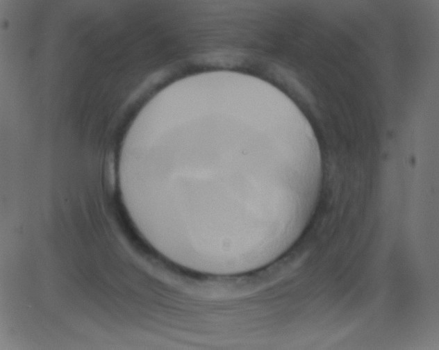 X0000081300020200702012321