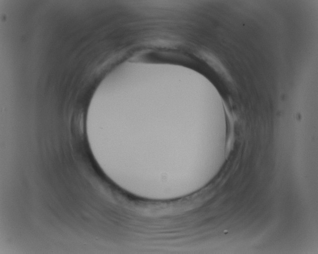 X0000081300021200702012320