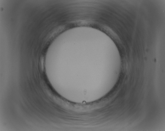 X0000081300022200702012320