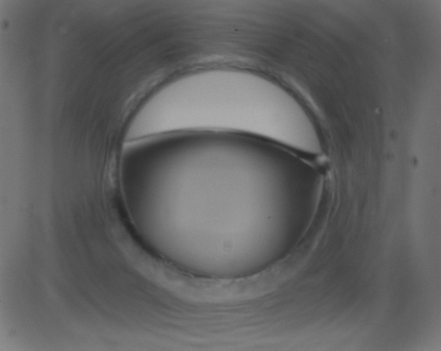 X0000081300023200702012320