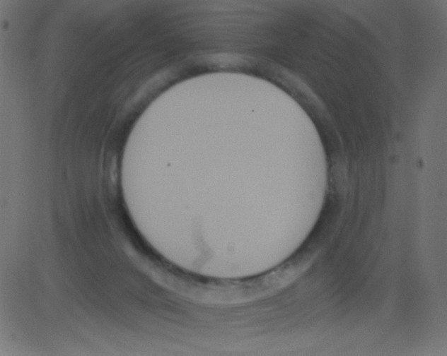 X0000081300024200702012320