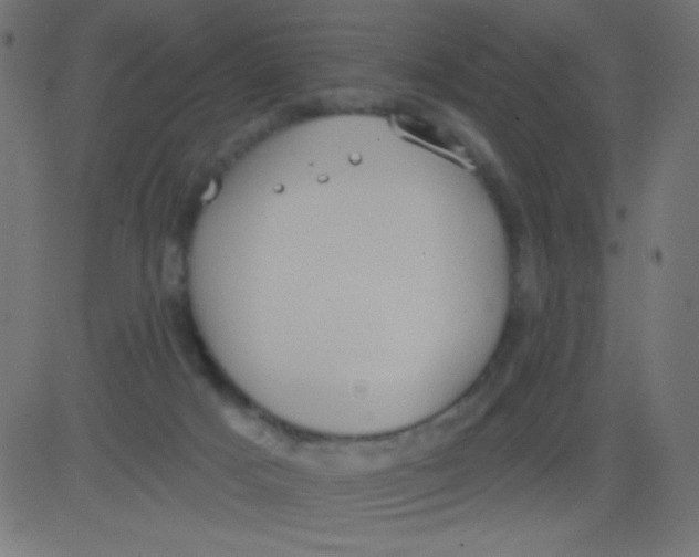 X0000081300025200702012320