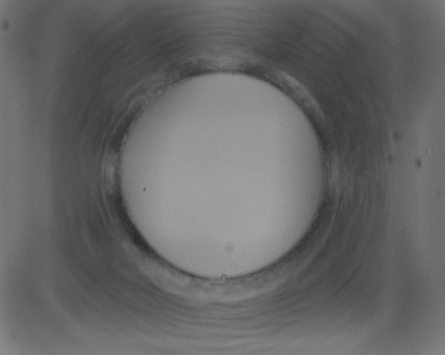 X0000081300026200702012320