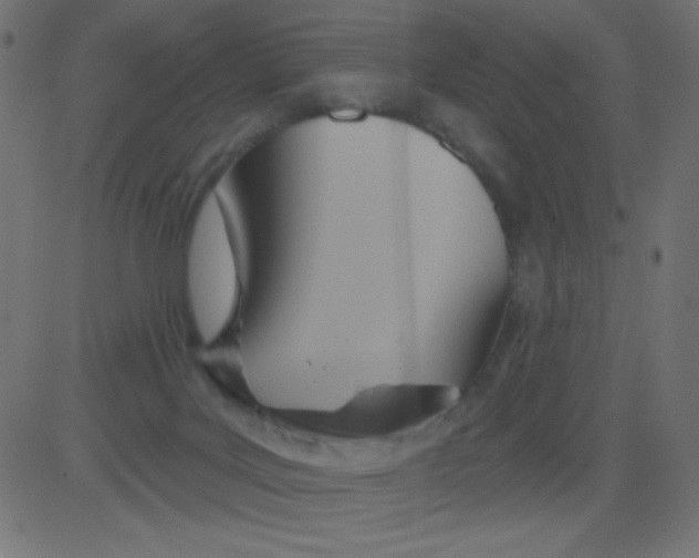 X0000081300027200702012320