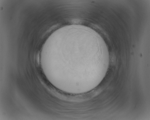 X0000081300028200702012320